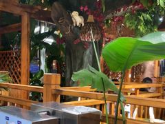 -草原塞蛮羊火锅城(港湾店)