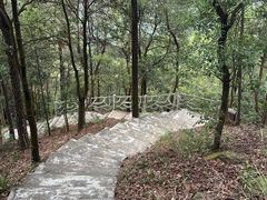 -滴水岩森林公园