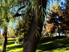 -汉长安城未央宫国家考古遗址公园