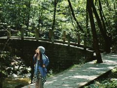 -牛背梁国家森林公园