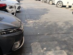-玉树林中西餐厅(华侨店)