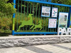 -昆山城市生态森林公园