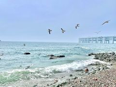 -银沙滩浴场