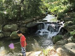 -中国茶叶博物馆(双峰馆区)