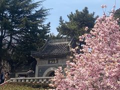-湛山寺