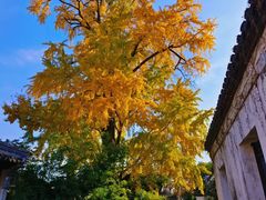 -惠山古镇·寄畅园