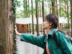 -黄海国家森林公园