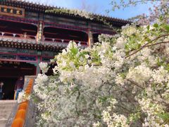 -潭柘寺景区