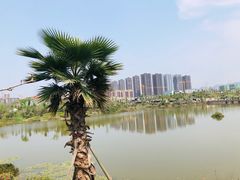 -枫香湖儿童公园