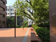 -香港大学