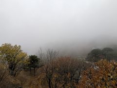 -妙峰山风景名胜区