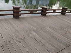 -成飞公园