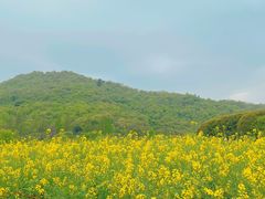 -八卦田遗址公园