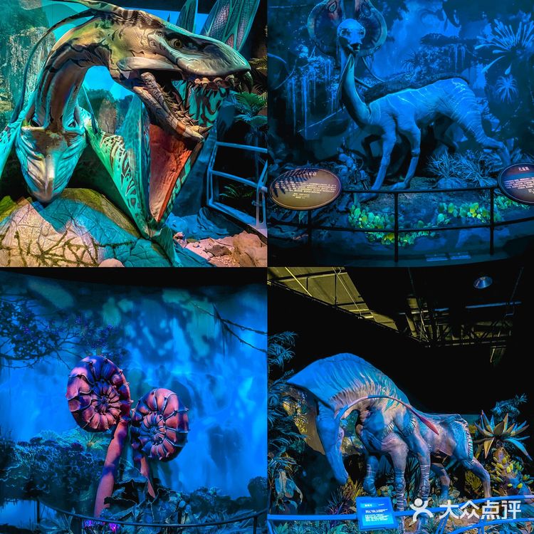 全国首展‼️阿凡达空降成都🧿探索潘多拉星球