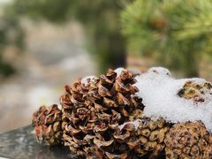 -鹫峰国家森林公园