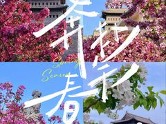 -老爷庙风味美食府(魏都大道店)