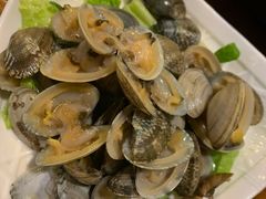 花蛤-金穗园·砂锅粥.醉鸡煲火锅(长寿路店)