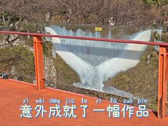 -青枫公园