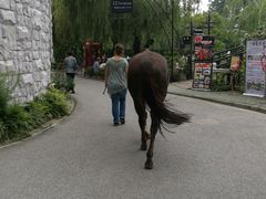 -金庭庄园酒店-停车场