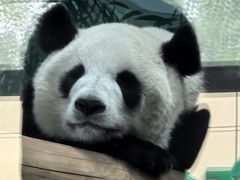 -秦皇岛野生动物园