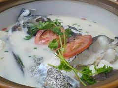 -全乐鱼馆·淳牌有机鱼直营店