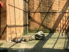 -柳州市动物园