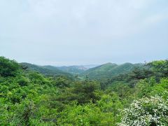-金龙寺国家森林公园