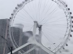 -海河游船-永乐码头(大悲院)
