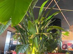 -拉蒂娜·巴西牛排馆 Latina·Brazilian Steakhouse(铜仁旗舰店)