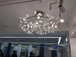 -潘多拉Hairsalon