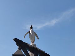 -珠海长隆海洋王国