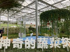 -光明农场大观园