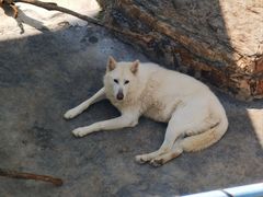 -大连森林动物园