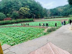 -韶山毛泽东同志故居