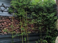 -北京益泉花园酒店