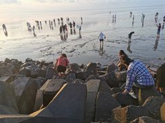 -南汇嘴观海公园