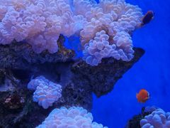 -多彩贵州城极地海洋世界