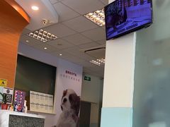 -瑞派申生动物医院·24H夜诊·国际动物医疗中心·骨外科(吴中路店)