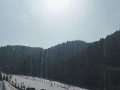 -金象山滑雪场