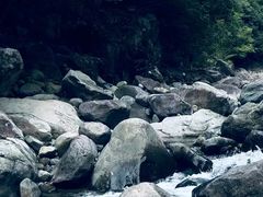 -北京凤凰岭