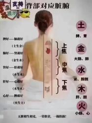 -香薇妮丝女子减肥院
