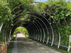 -同里国家湿地公园