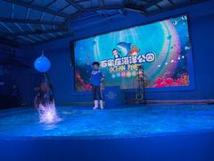-石家庄海洋公园