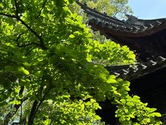 -天一阁博物院