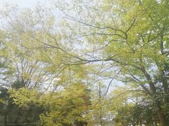 -松岛