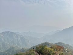 -大岭沟猕猴桃谷风景区