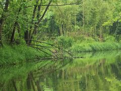 -西溪国家湿地公园