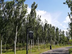-东郊湿地公园