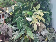 -三旗百汇商品城