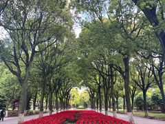 -上海鲜花港
